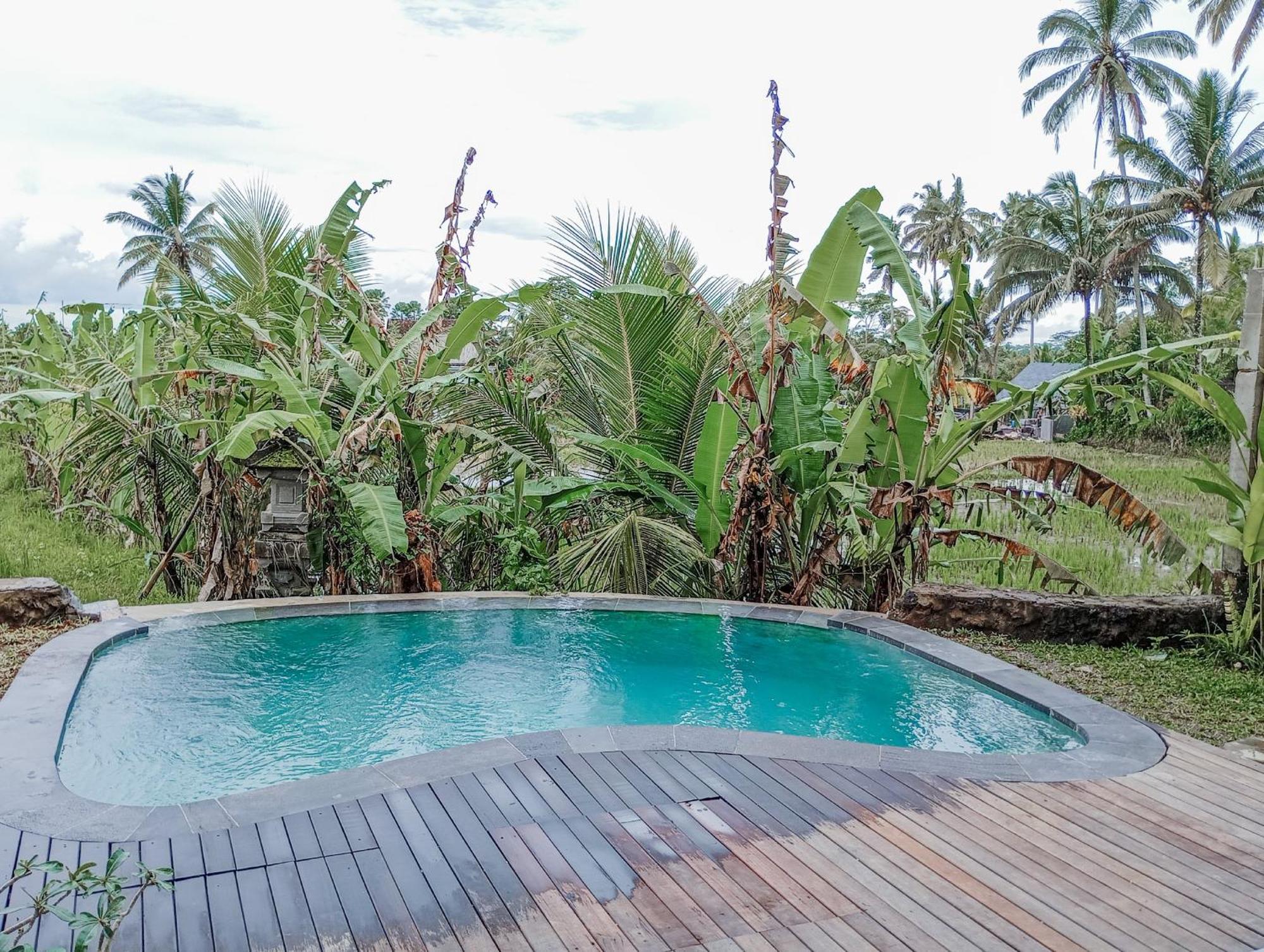 Umah Adenium Ubud 3 Exterior foto
